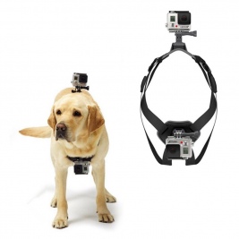 Ιμάντας στήριξης σε σκύλους (2 κάμερες) for Action Cameras