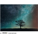 Navaris Magnetic Memo Board Whiteboard - Μαγνητικός Πίνακας Ανακοινώσεων - 50 x 70 cm - Starry Night (49996.07)