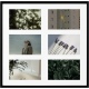 Navaris Picture Frame Collage - Κορνίζα Κολλάζ από Αλουμίνιο για 6 Φωτογραφίες / Θέσεις - Black (59252.01)