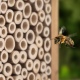 Navaris Bamboo Bee Tubes - Σπίτι / Ξενοδοχείο / Φωλιά για Mason Κτίστες Μέλισσες από Μπαμπού για Προσέλκυση και Γονιμοποίηση - 60 x Σωλήνες - 1 x Σχοινί - Μήκος 15 cm - Brown (61288.01)