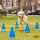 Navaris Dog Training Cone / Agility Equipment Set - Σετ Εμποδίων Εκπαίδευσης Σκύλου με 6 x Κώνους 30 x 23 cm - 3 x Κοντάρια 100 cm - Blue (60543.01)